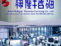 安徽品学信息技术咨询公司，助力企业数字化转型的有力伙伴