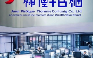 安徽品学信息技术咨询公司，助力企业数字化转型的有力伙伴